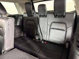 
 Nissan Pathfinder full									