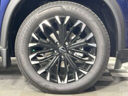 
 Nissan Rogue full									