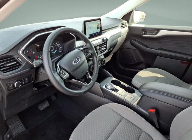 
 Ford Escape full									