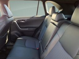 Toyota RAV4 Hybrid full