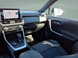 Toyota RAV4 Hybrid full