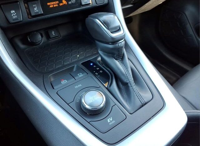 
 Toyota RAV4 Hybrid full									