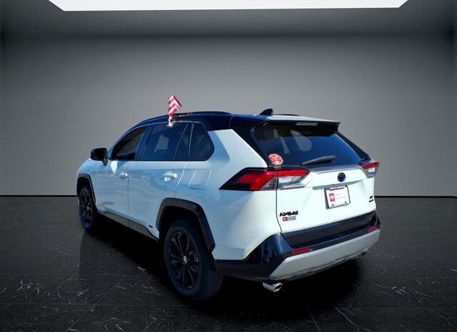 
 Toyota RAV4 Hybrid full									