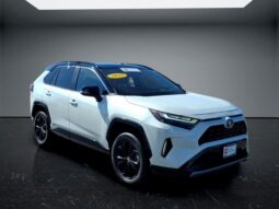 Toyota RAV4 Hybrid full