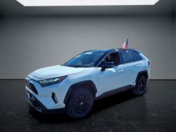 Toyota RAV4 Hybrid full