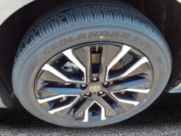 Toyota bZ full