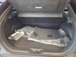 
 Toyota C-HR full									