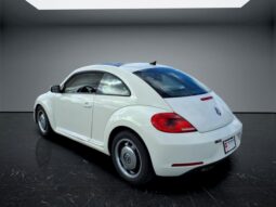 
 Volkswagen Beetle full									