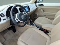 
 Volkswagen Beetle full									