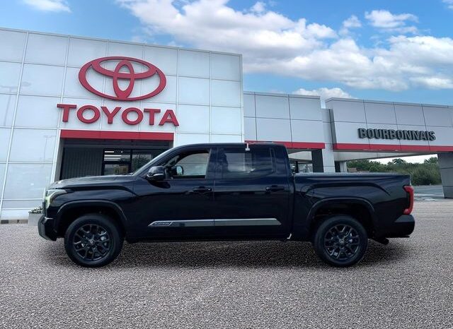 
 Toyota Tundra full									