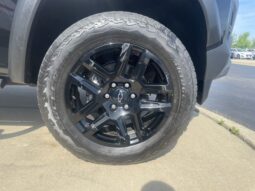 
 Chevrolet Colorado full									