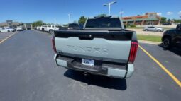 Toyota Tundra full