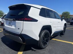 Toyota RAV4 full