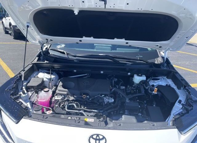 
 Toyota RAV4 full									
