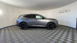 Nissan Murano full
