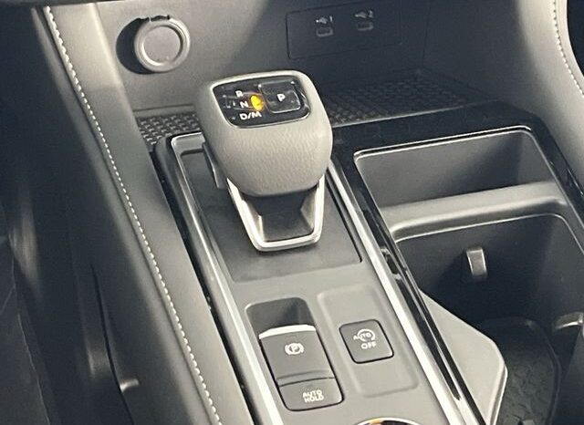 
 Nissan Pathfinder full									