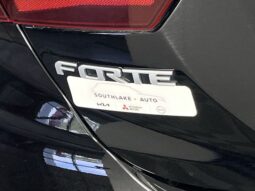 
 Kia Forte full									