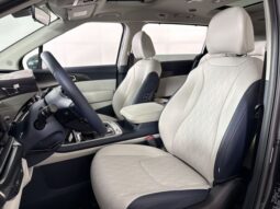 
 Kia Carnival full									