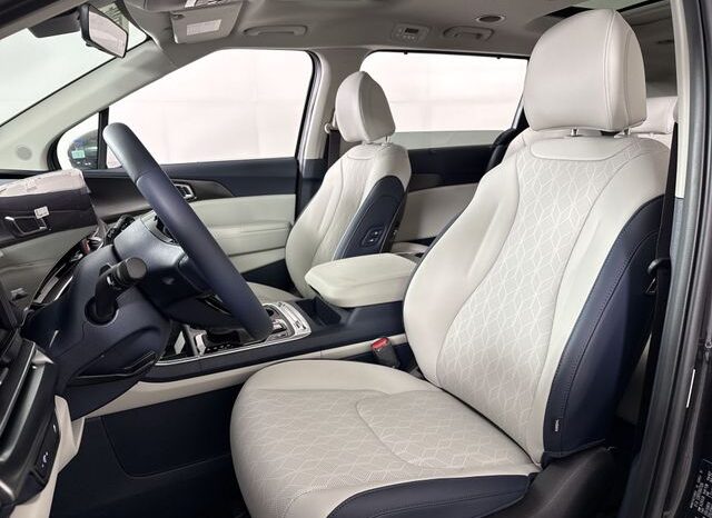 
 Kia Carnival full									