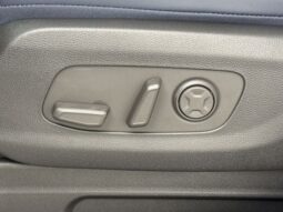 
 Kia Carnival full									