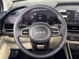
 Kia Carnival full									