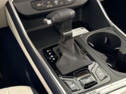 
 Kia Carnival full									