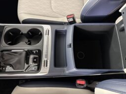 
 Kia Carnival full									
