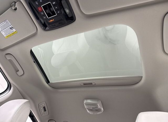 
 Kia Carnival full									