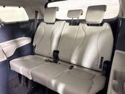 
 Kia Carnival full									