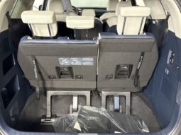 
 Kia Carnival full									