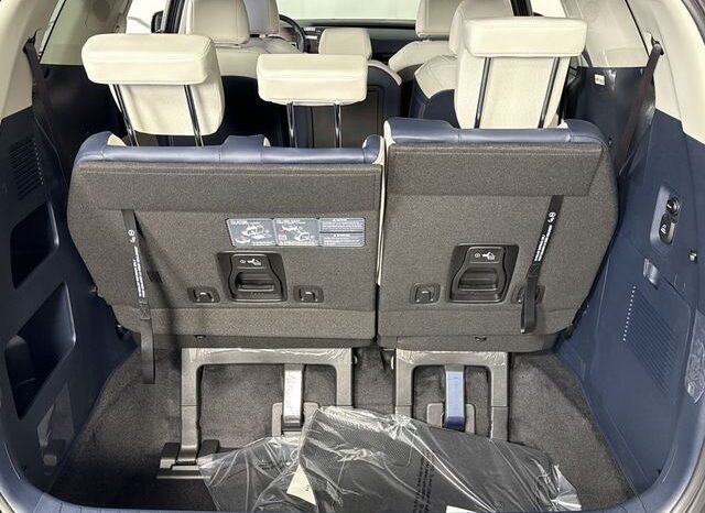 
 Kia Carnival full									