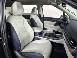 
 Kia Carnival full									