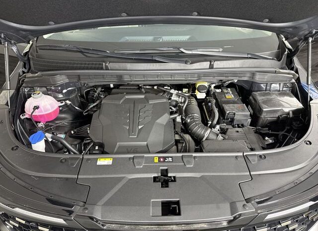 
 Kia Carnival full									
