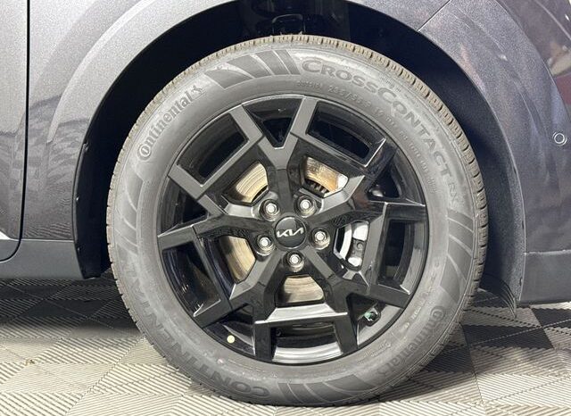 
 Kia Carnival full									