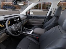 
 Kia Carnival full									