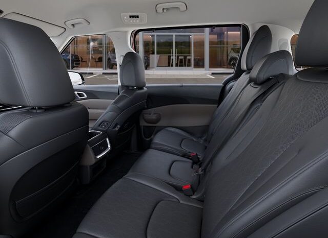 
 Kia Carnival full									