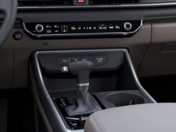 
 Kia Carnival full									