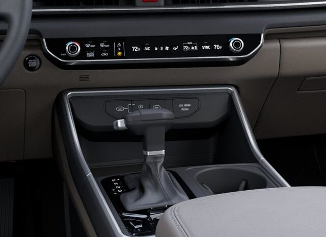 
 Kia Carnival full									