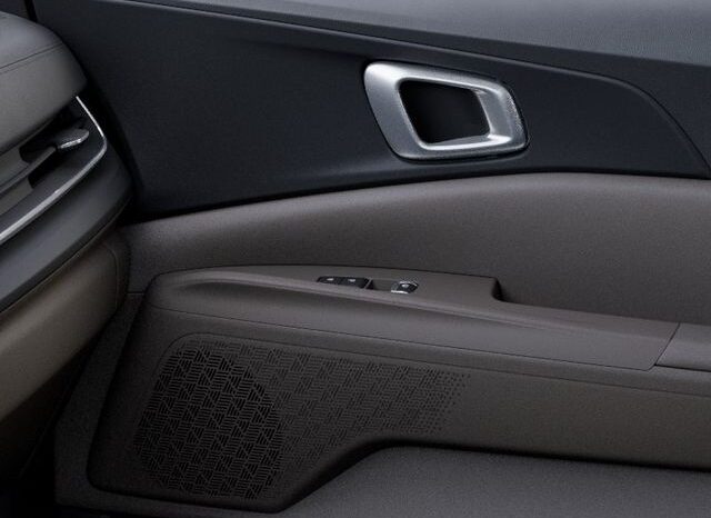 
 Kia Carnival full									