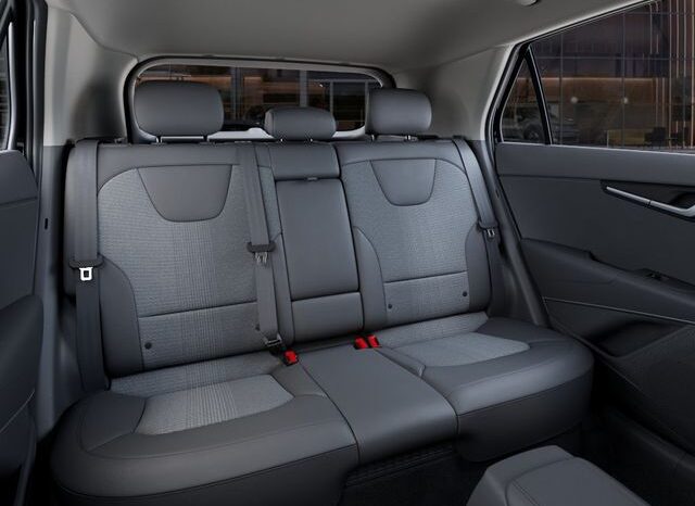 
 Kia Niro full									