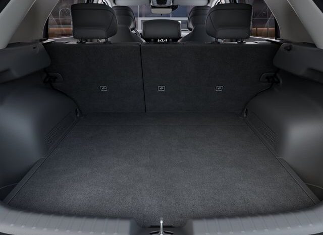
 Kia Niro full									