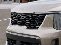 
 Kia Sorento Hybrid full									