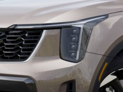 
 Kia Sorento Hybrid full									