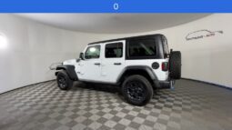 
 Jeep Wrangler full									