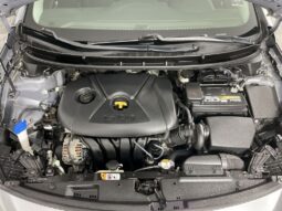 
 Hyundai Elantra GT full									