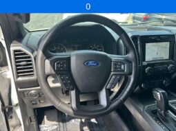 
 Ford F-150 full									