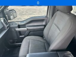 
 Ford F-150 full									