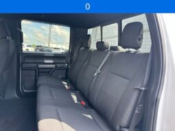
 Ford F-150 full									