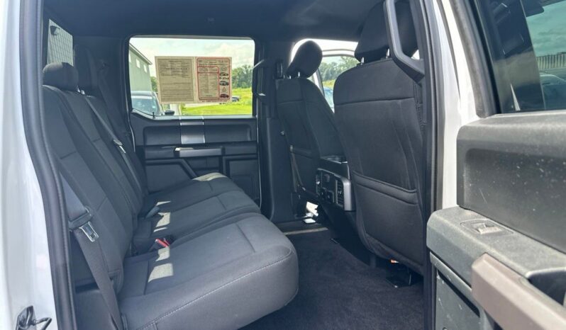 
 Ford F-150 full									