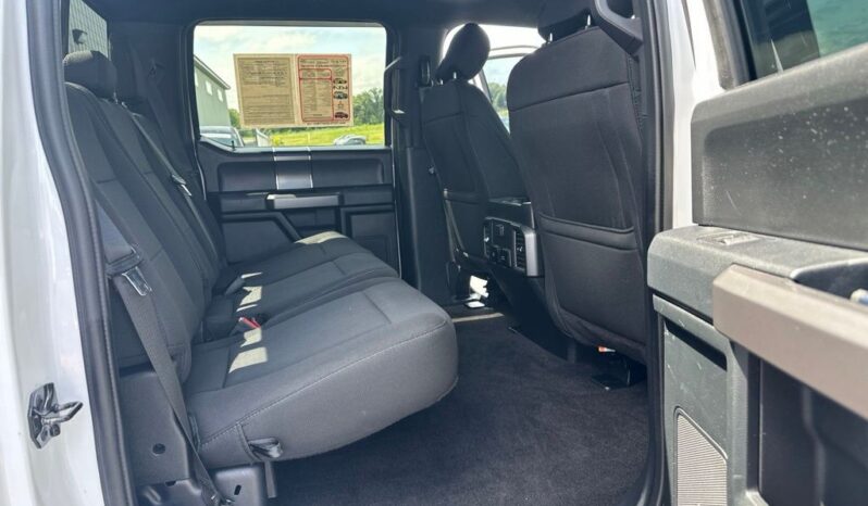 
 Ford F-150 full									